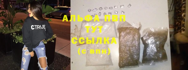 прущие крисы Бородино