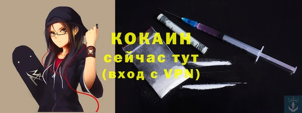 прущие крисы Бородино