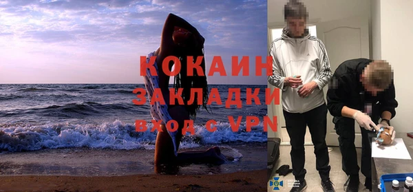 прущие крисы Бородино