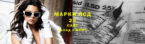 прущие крисы Бородино