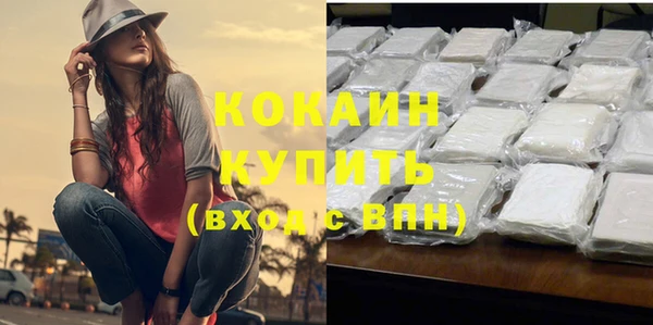 прущие крисы Бородино