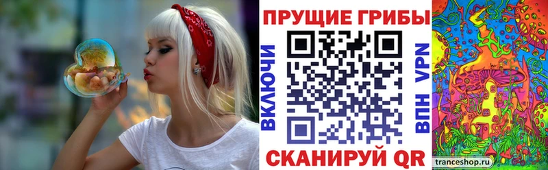 Галлюциногенные грибы Psilocybe  купить наркоту  blacksprut ССЫЛКА  Энгельс 